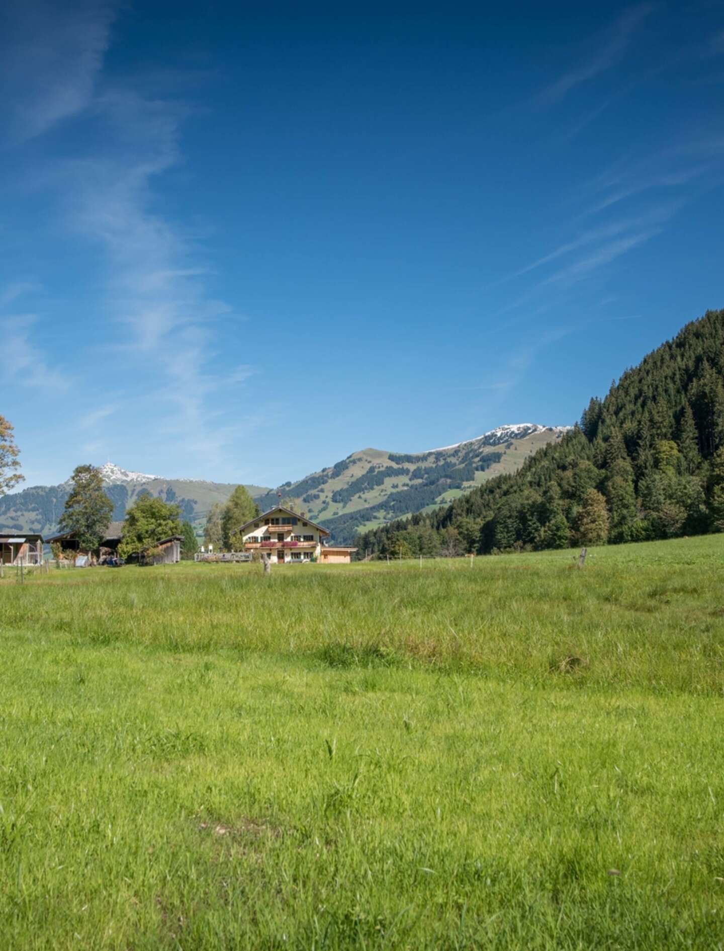 Aussicht_Timeless_Jochberg_Waldhausbichl